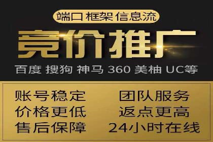 XX行业竞价广告的投放策略与效果分析